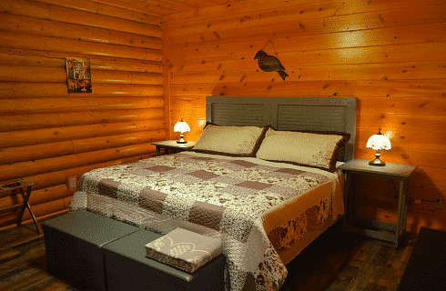 Bedroom of a log home with king bed, brown and cream patchwork quilt and bedside tables with lamps